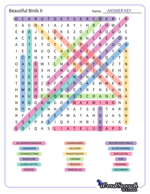 Beautiful Birds II Word Search Puzzle