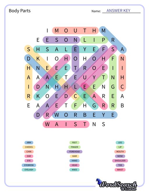 Body Parts Word Search Puzzle