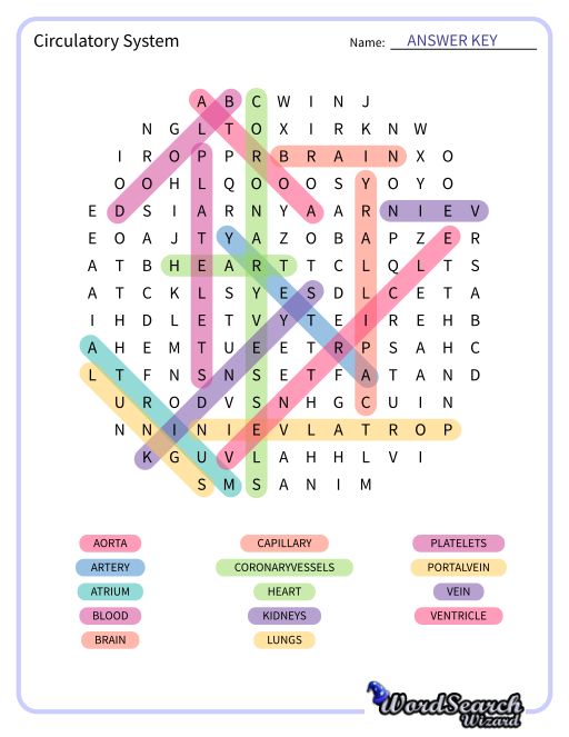 Circulatory System Word Search Puzzle