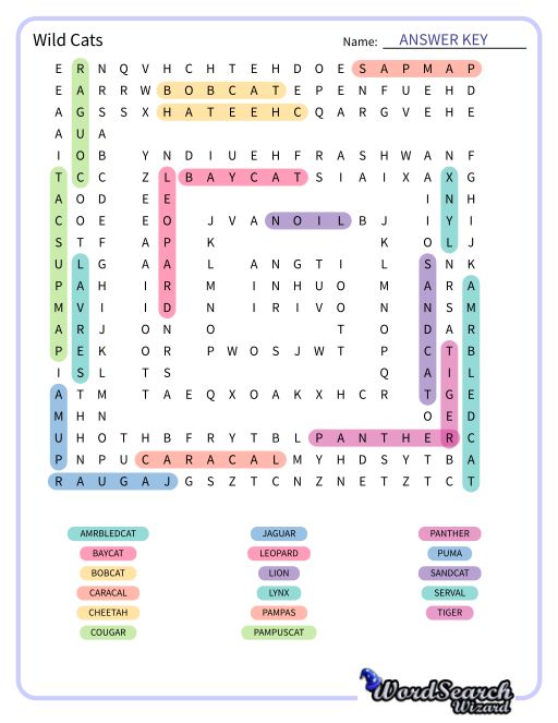 Wild Cats Word Search Puzzle